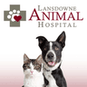 Company