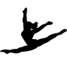 Company