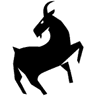 Company